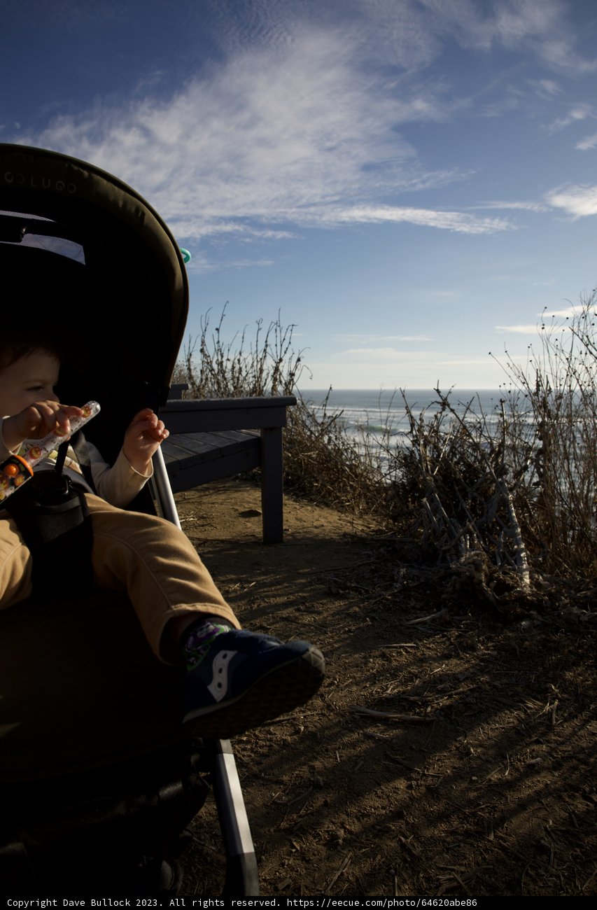 A Quiet Moment by the Sea