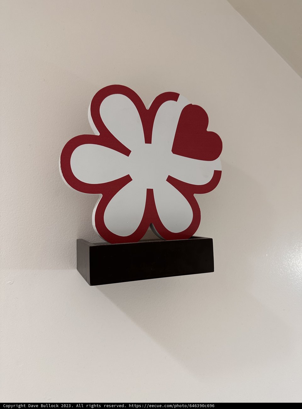 Blooming Creativity in San Francisco