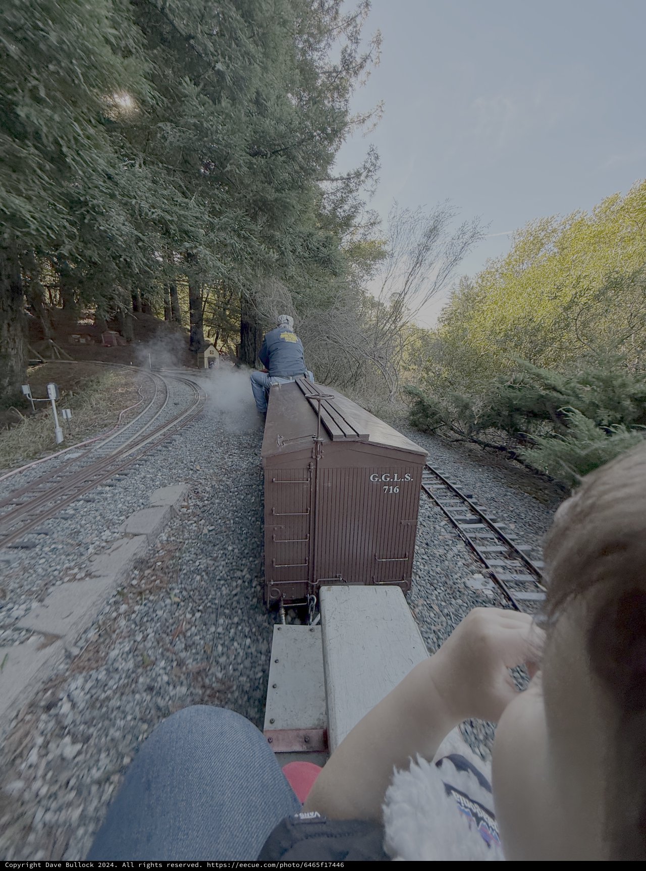 Vintage Steam Train Journey Through Forest