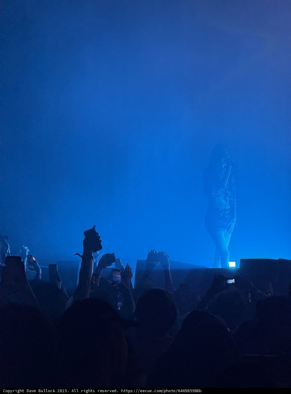 Electric Night in Indio
