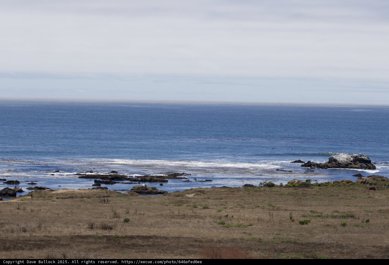 Tranquil Shores of Cayucos