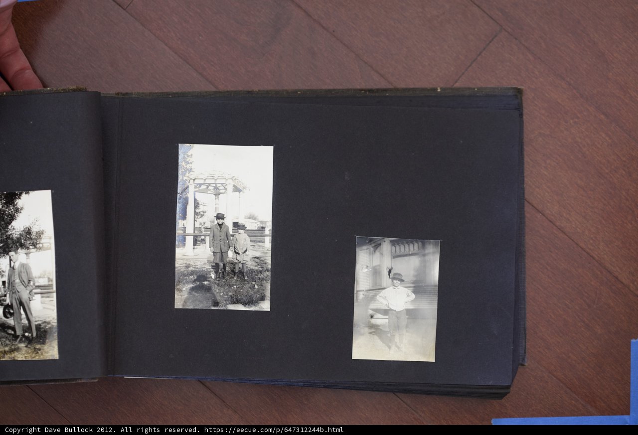 Bullock Curtis Family Photos