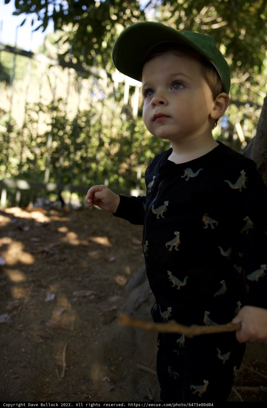 Young Explorer: Wesley's Day Out