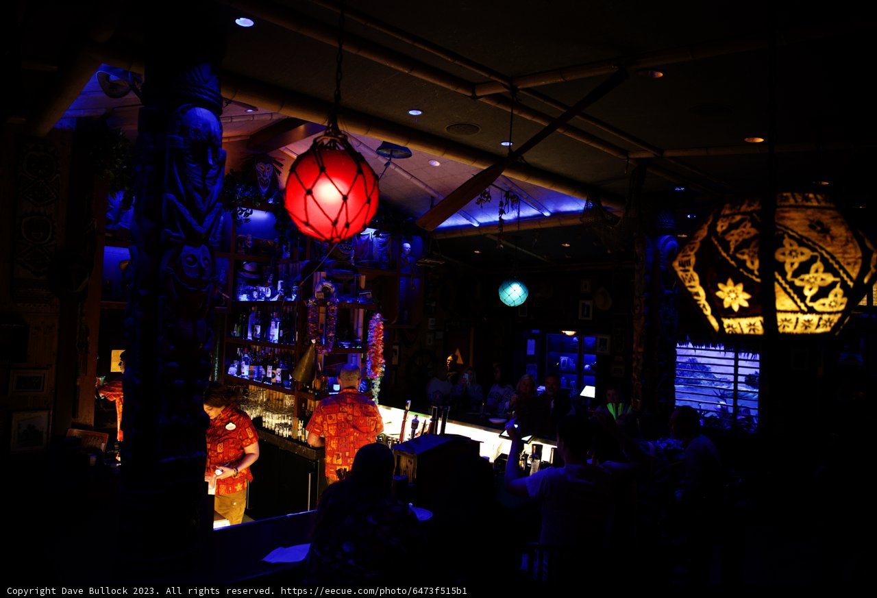 An Enchanting Evening at Disneyland