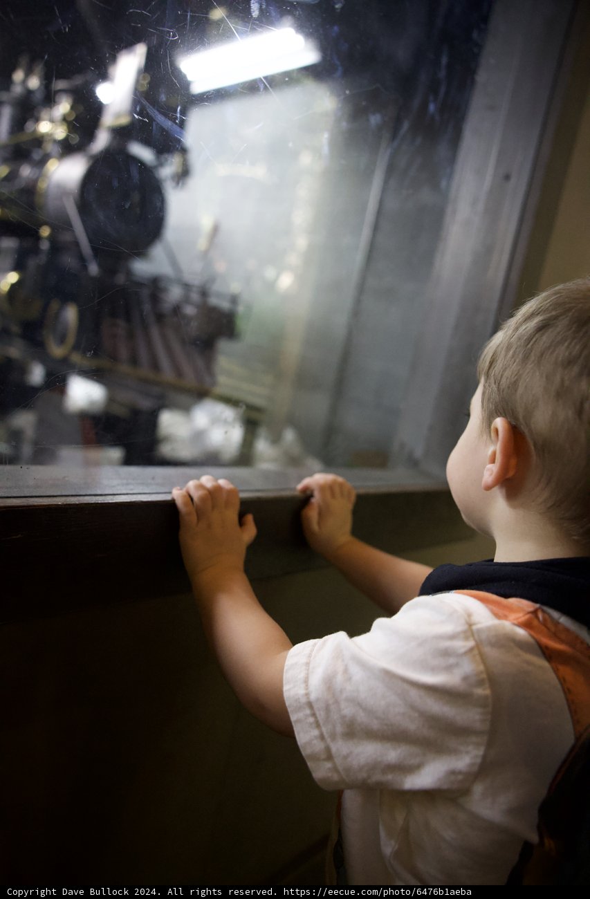 Enchantment Through the Glass