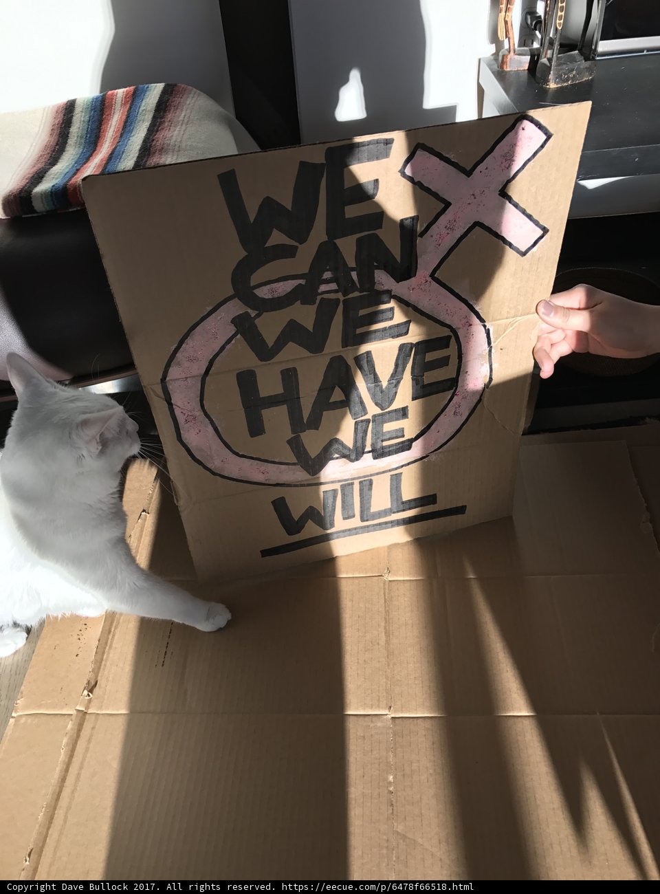 Box of Surprises