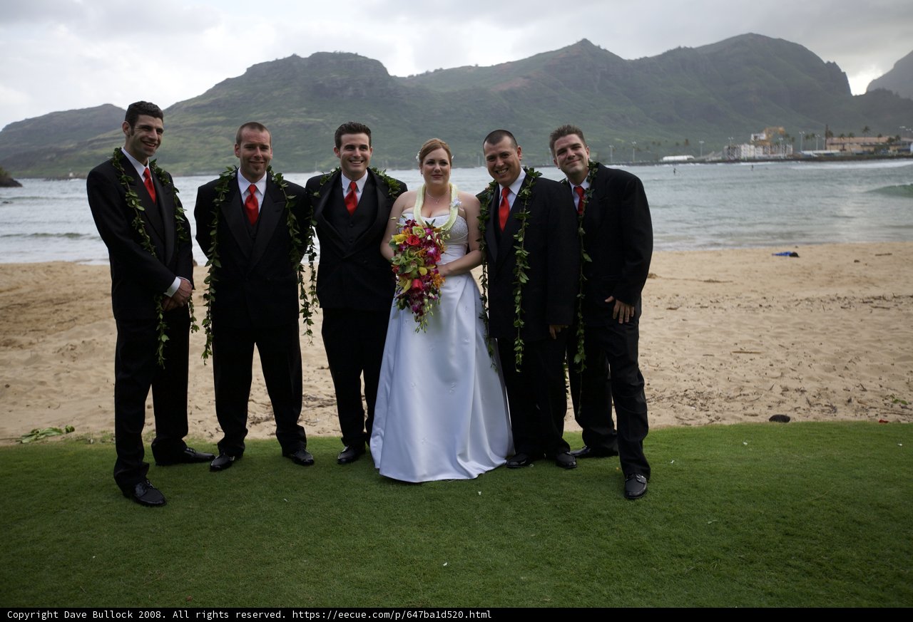 Wedding Party Photo on the Beach