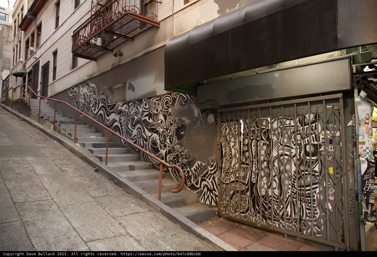 Urban Artistry in Chinatown - November 2023
