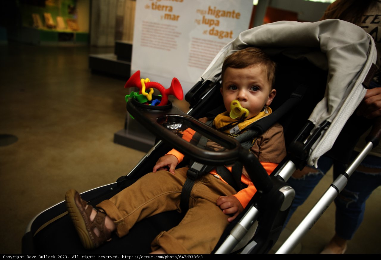 Baby's Day Out at the California Academy of Sciences