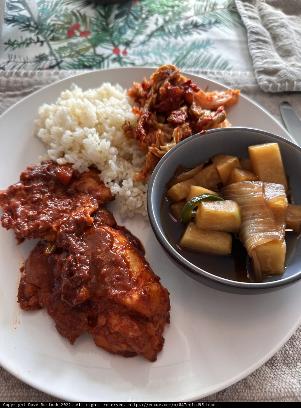 A Delicious Plate of Rice, Meat, and Veggies (Food Presentation)