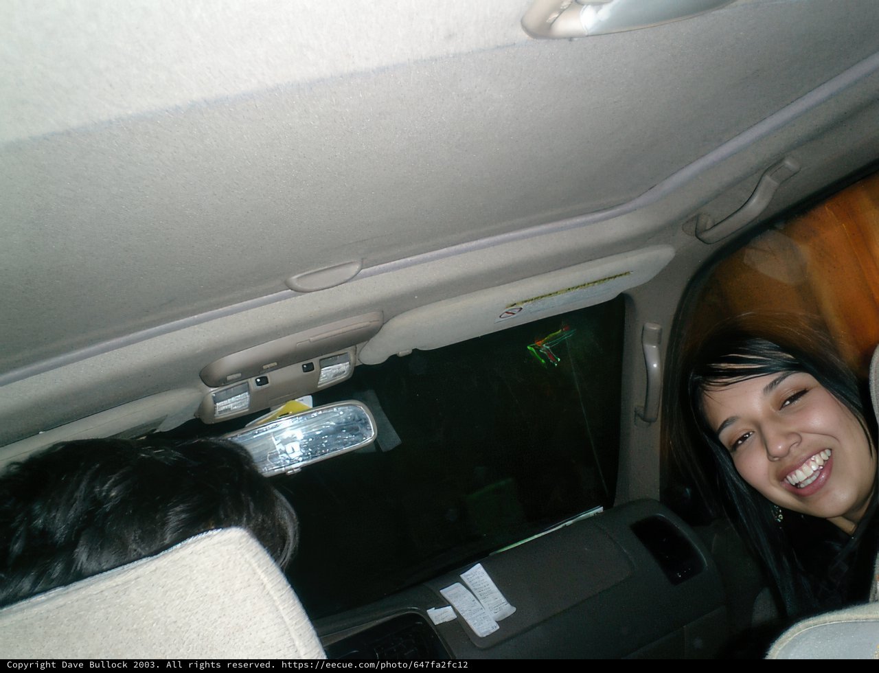 Happy Passenger
