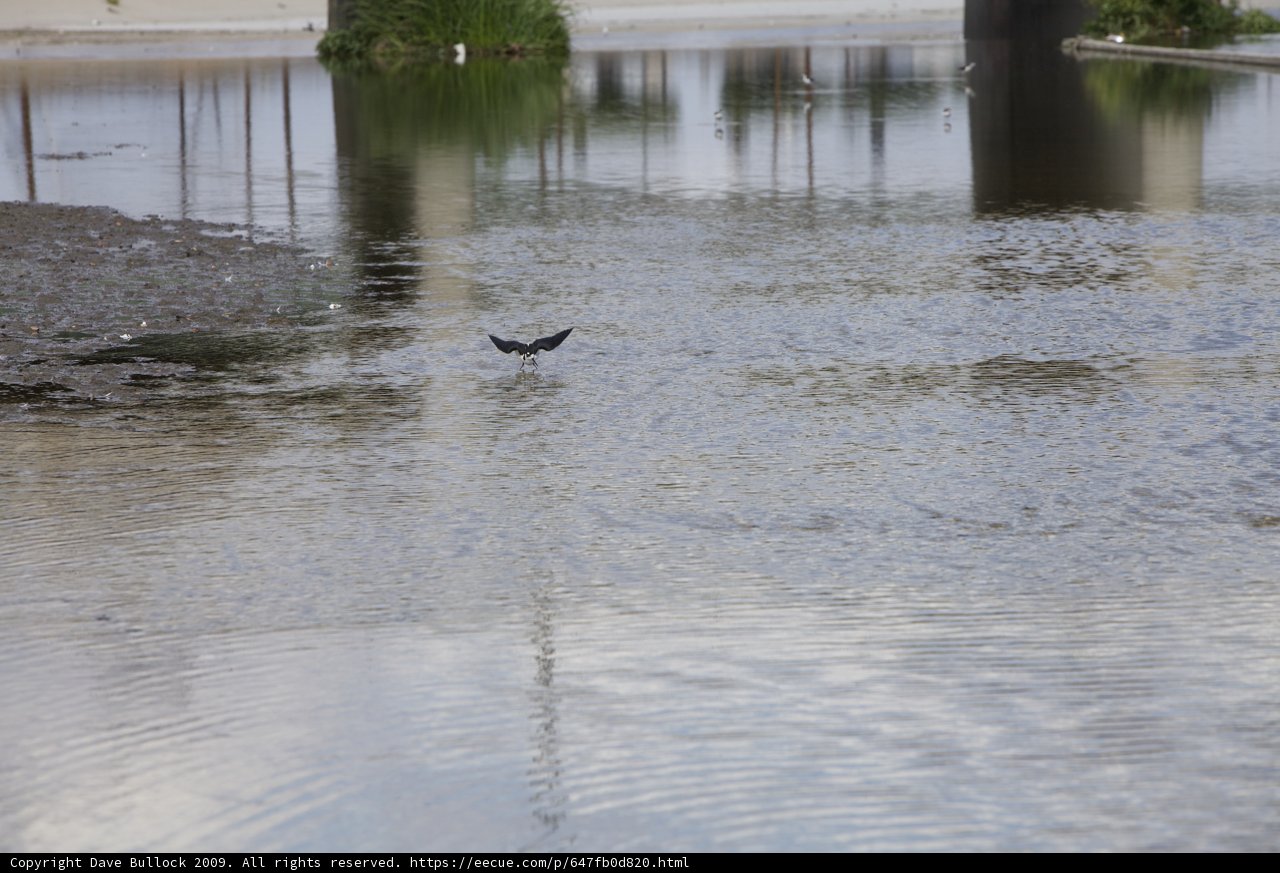 Flight over flooded territory