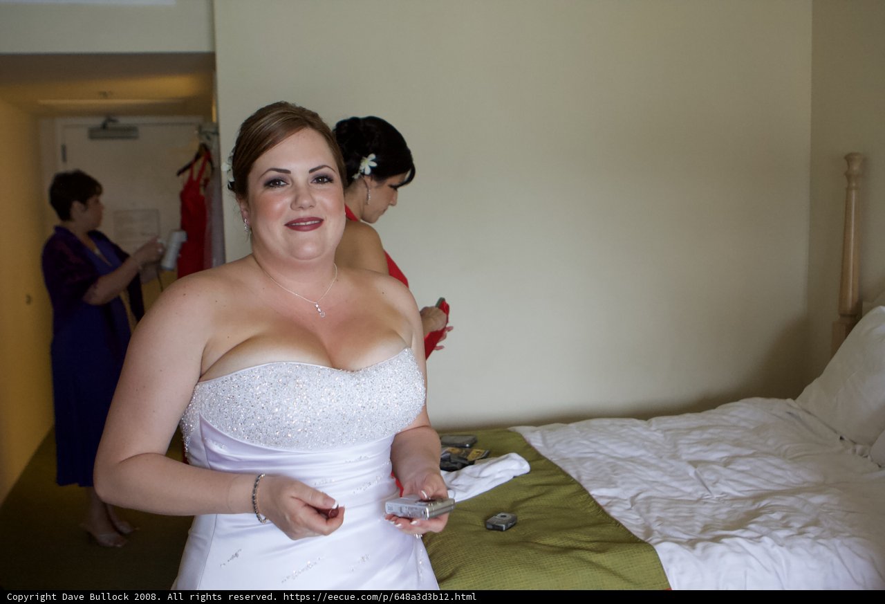 A Beautiful Bride on her Wedding Day