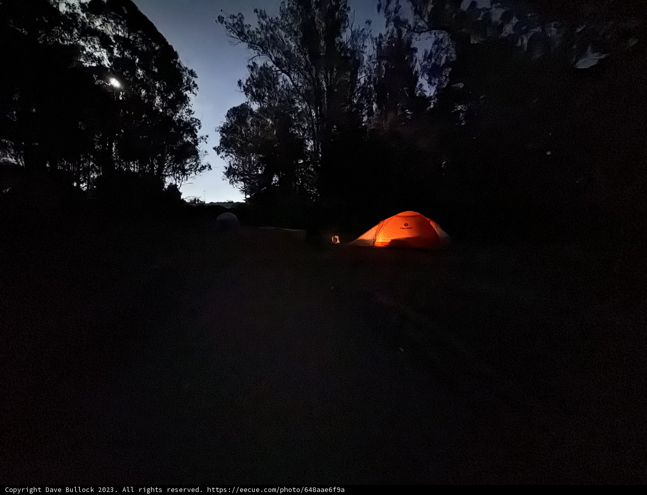 An Illuminated Night Under the Stars at Presidio