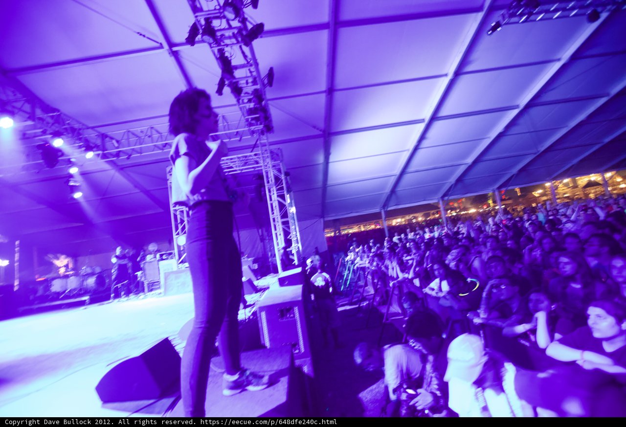 Female Performer Rocks the Stage at Coachella 2012
