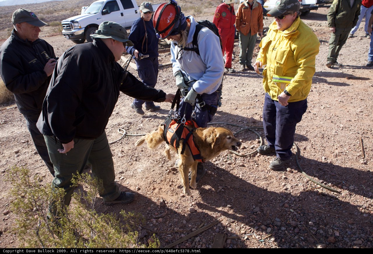 Rescue Mission Dog and Crew