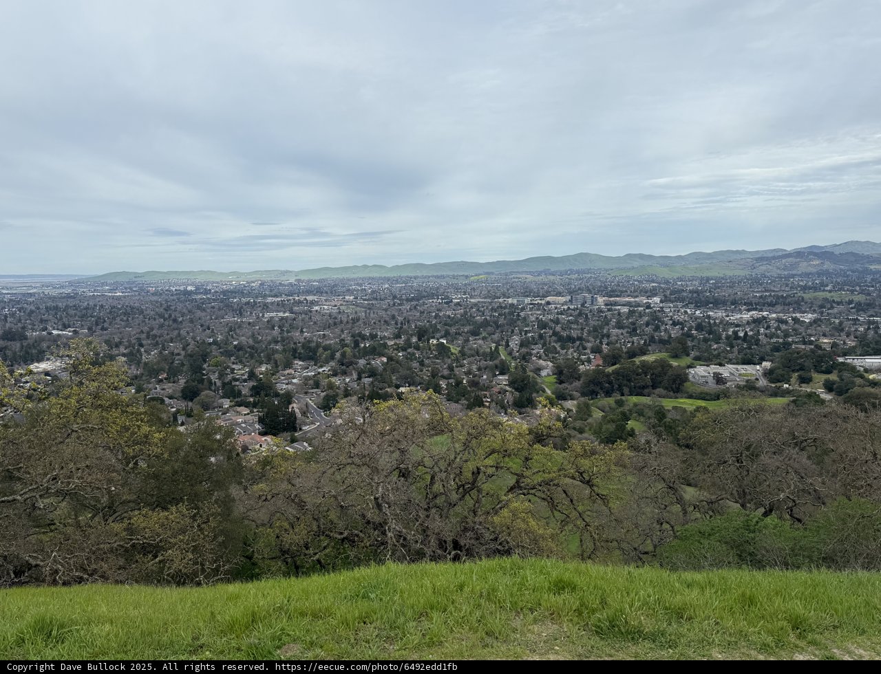 Urban Oasis in Walnut Creek