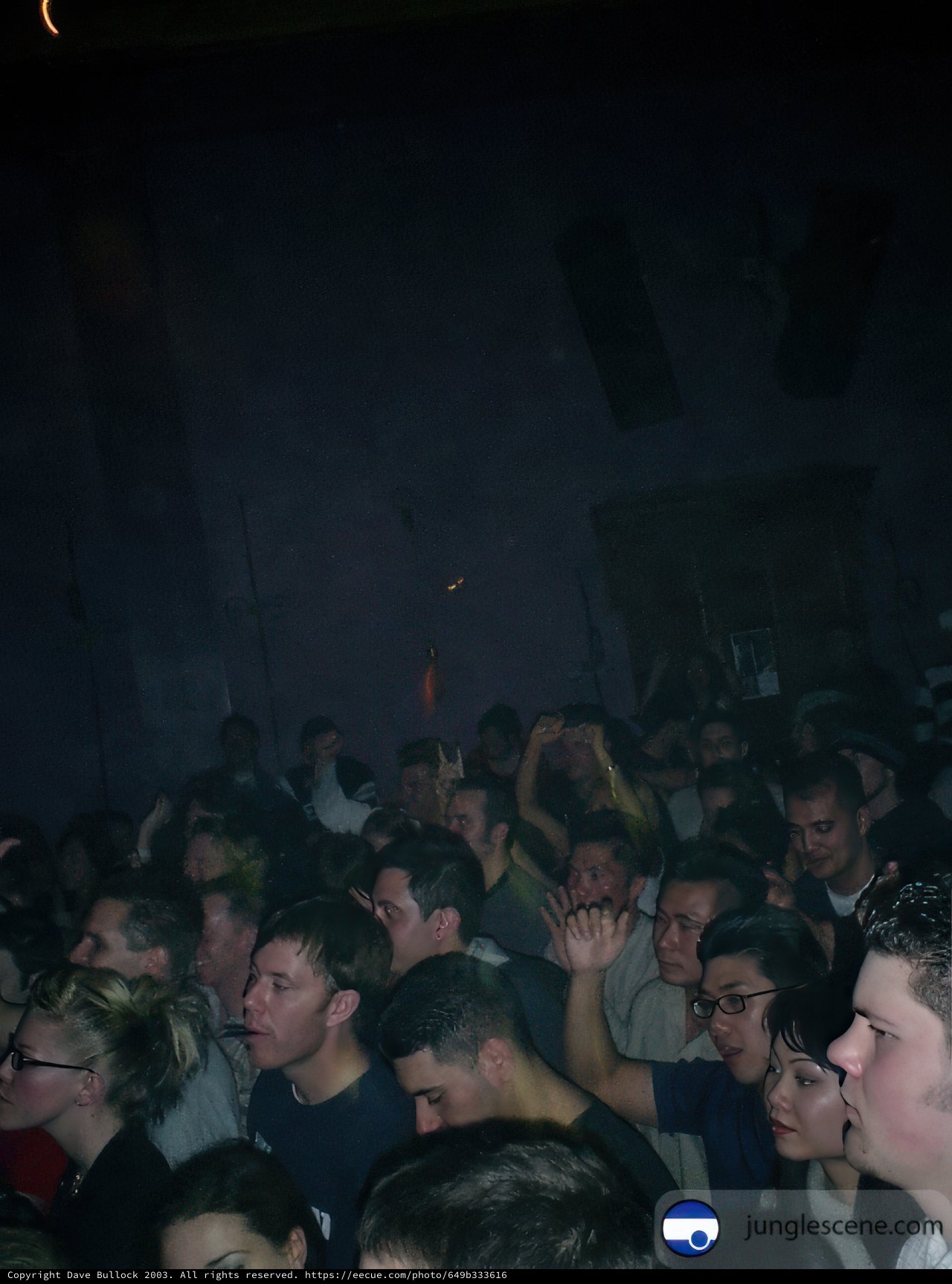 Moonlit Concert Madness