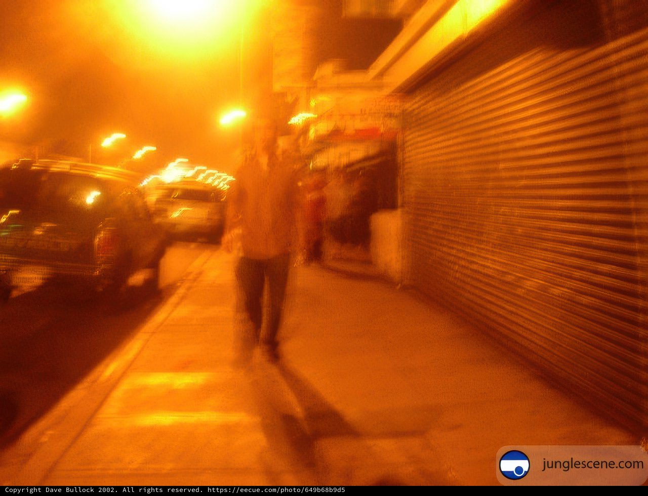 Blurry Night Stroll