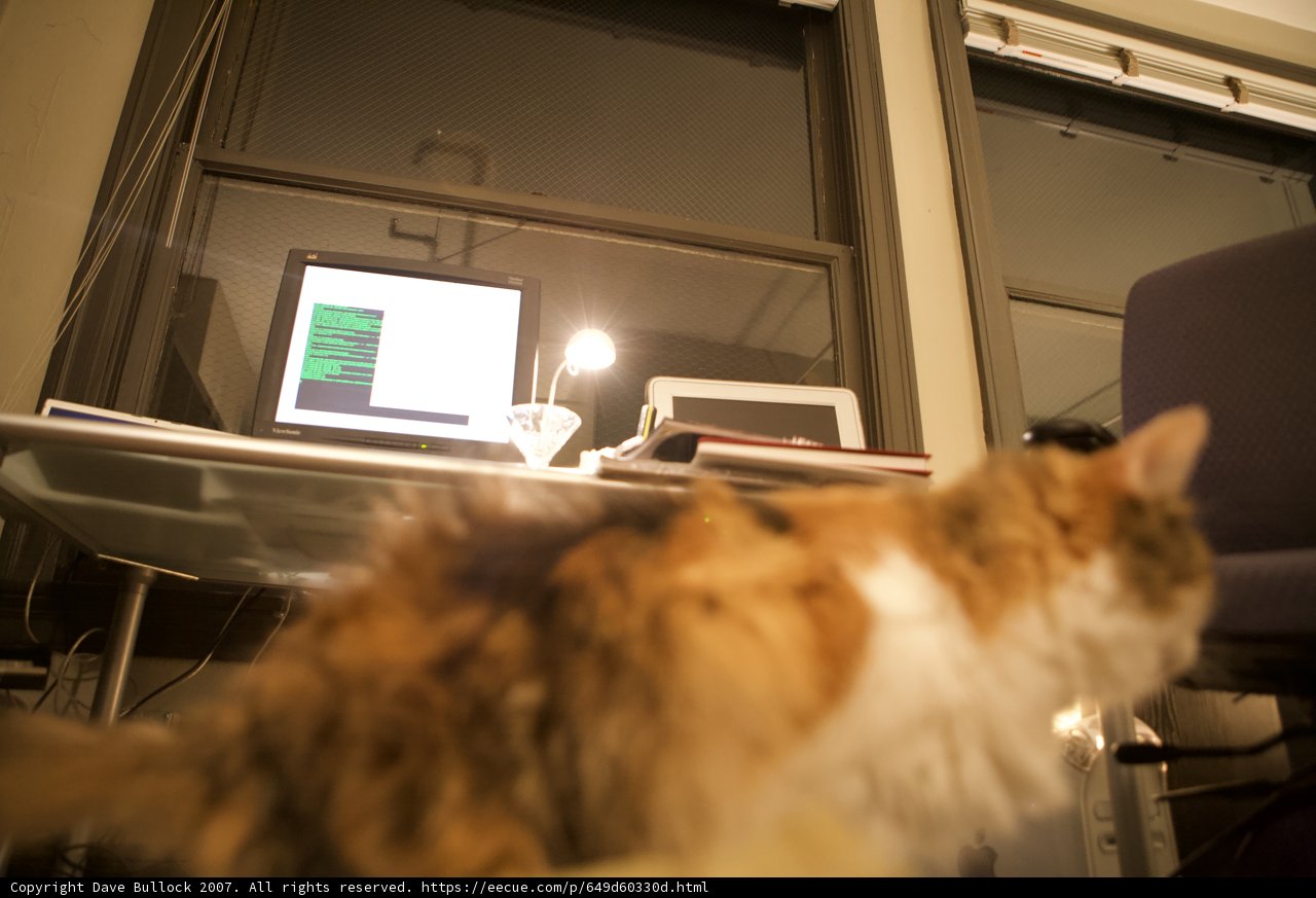 Feline Tech Support