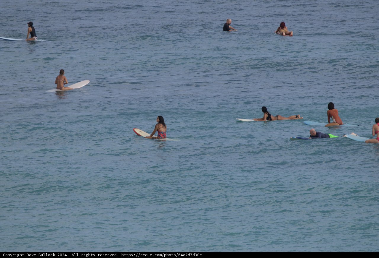 A Day at Sea: Surf's Up in Hawaii