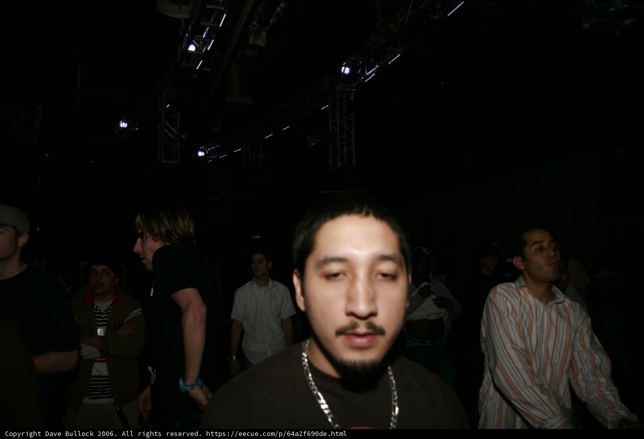 Nightclub Gathering