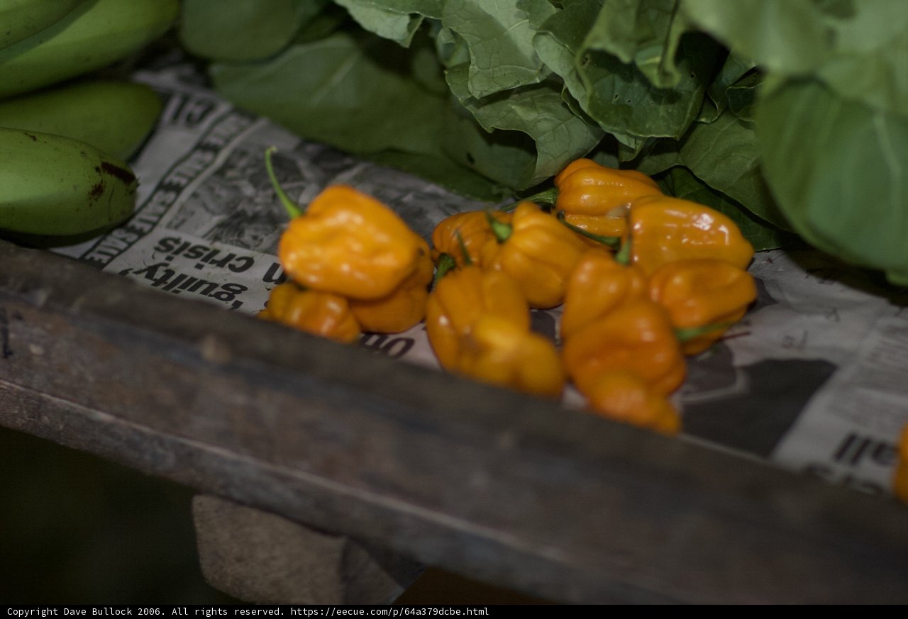 Fresh Produce and News