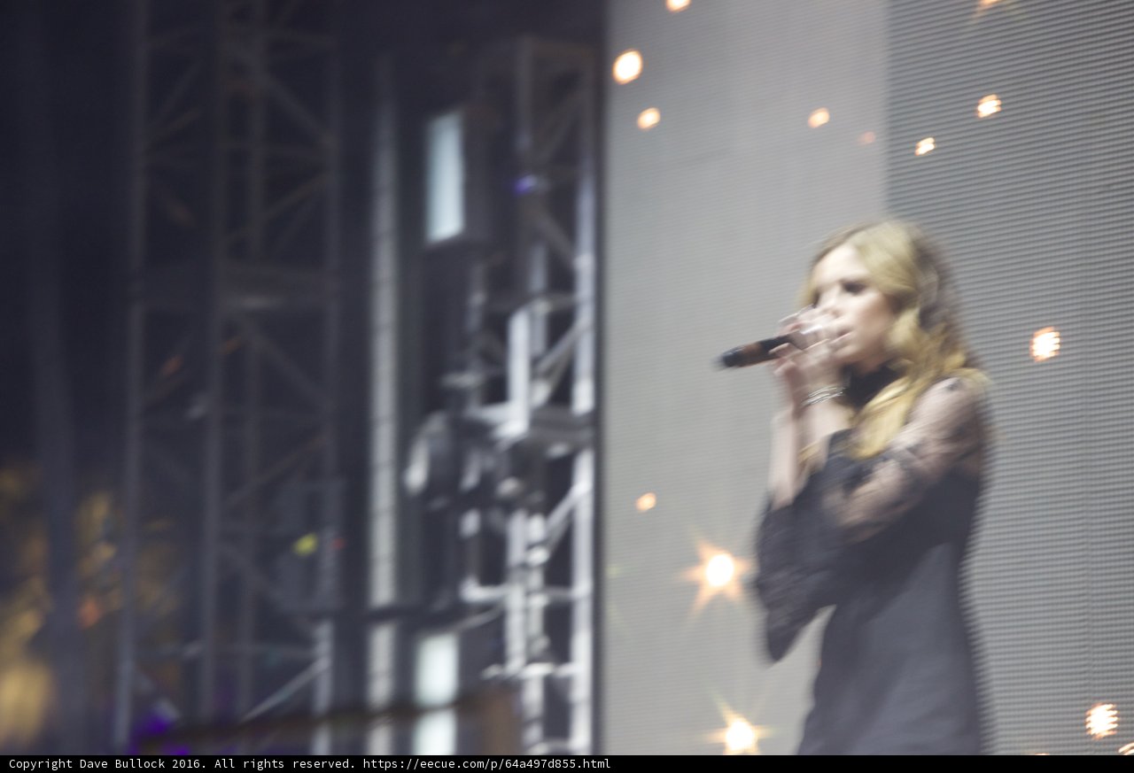Captivating Concert Performance
