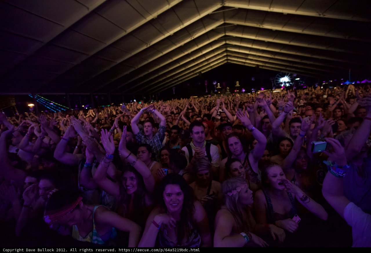 Coachella Crowd Goes Wild