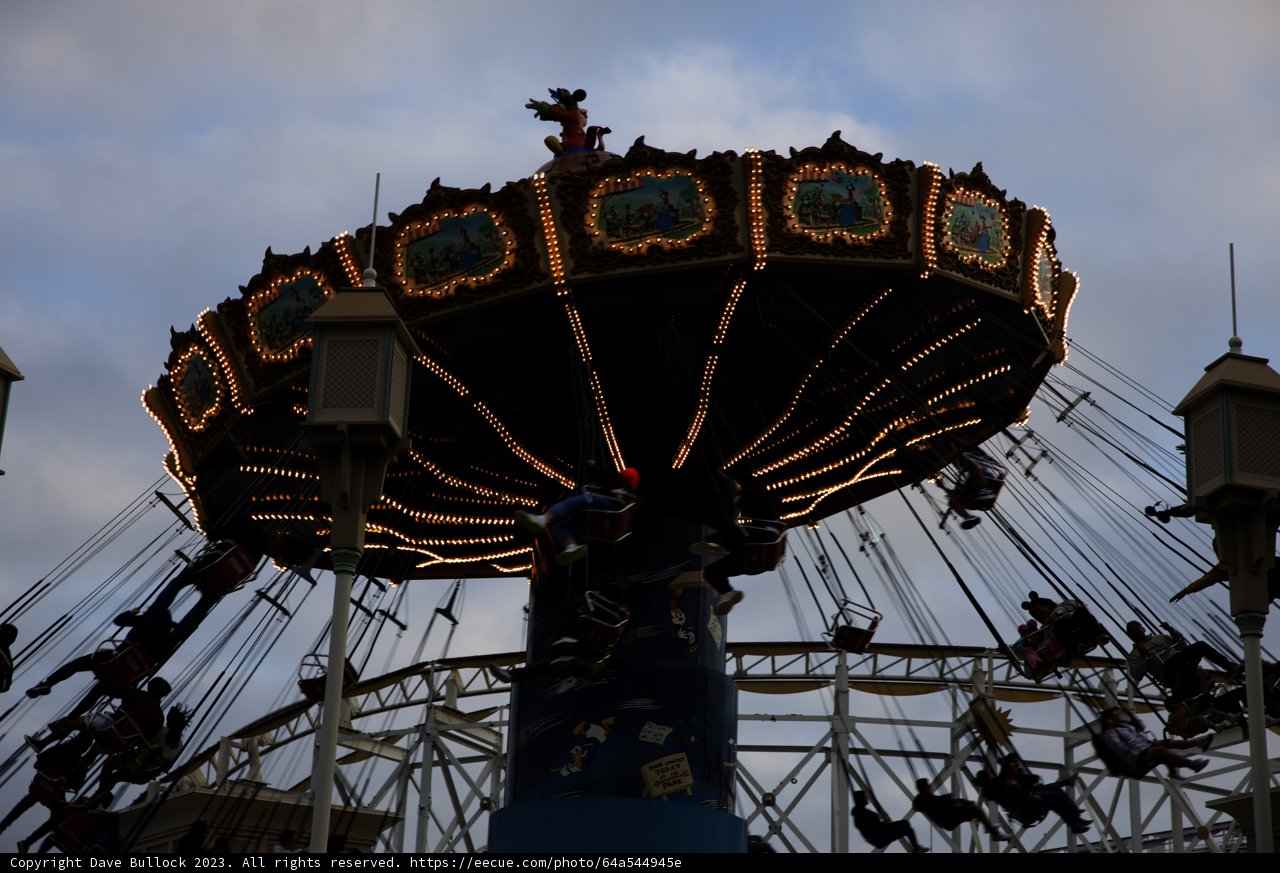 Magical Moments at Disneyland