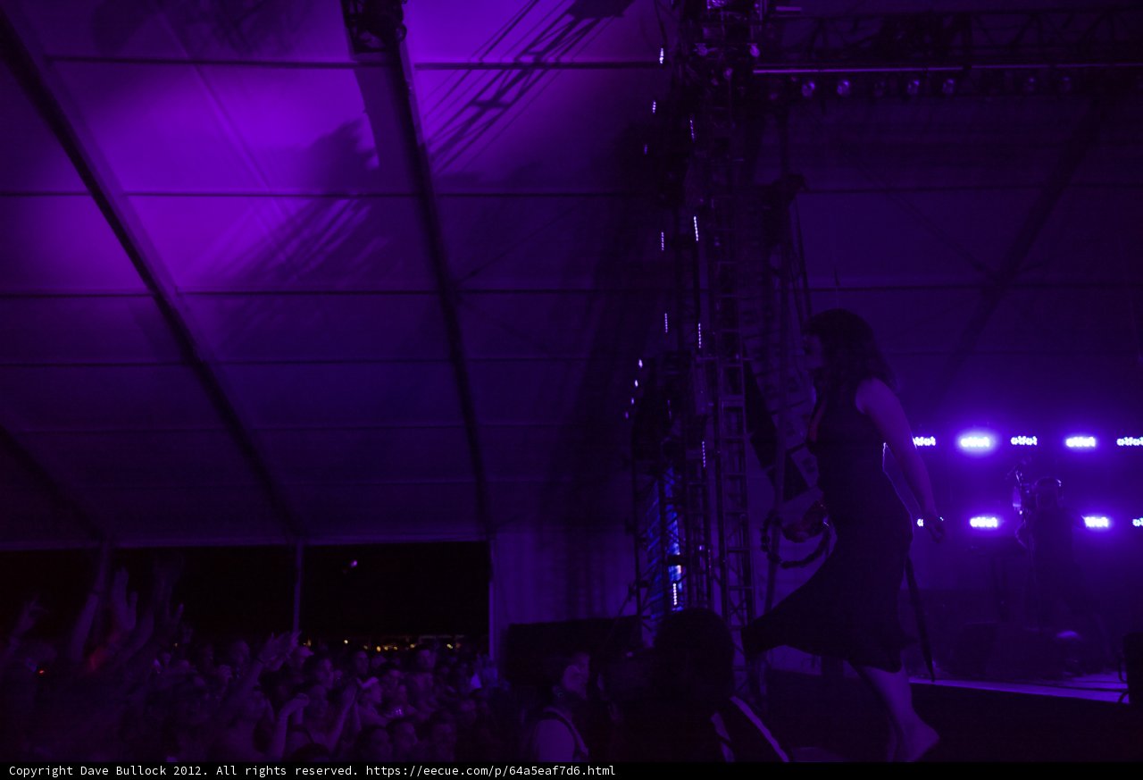 Purple Haze