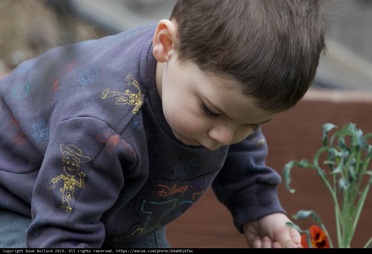 Curious Moments in the Garden