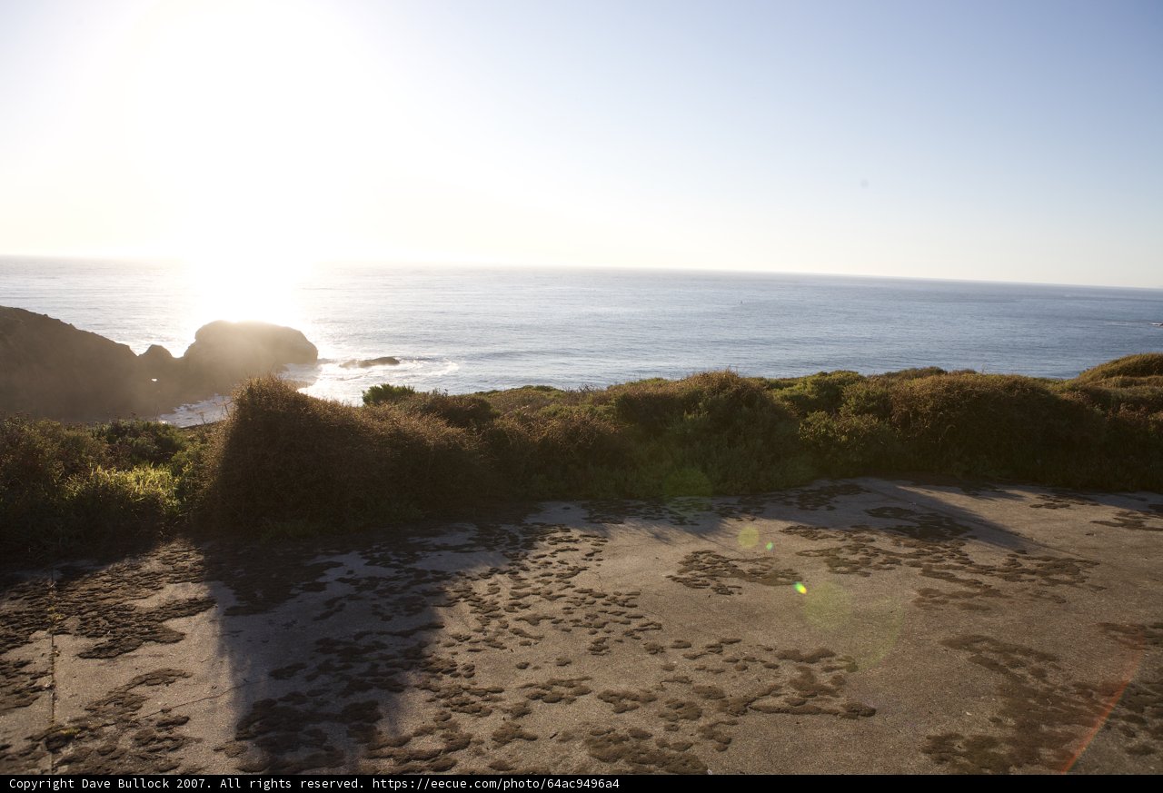 Coastal Serenity