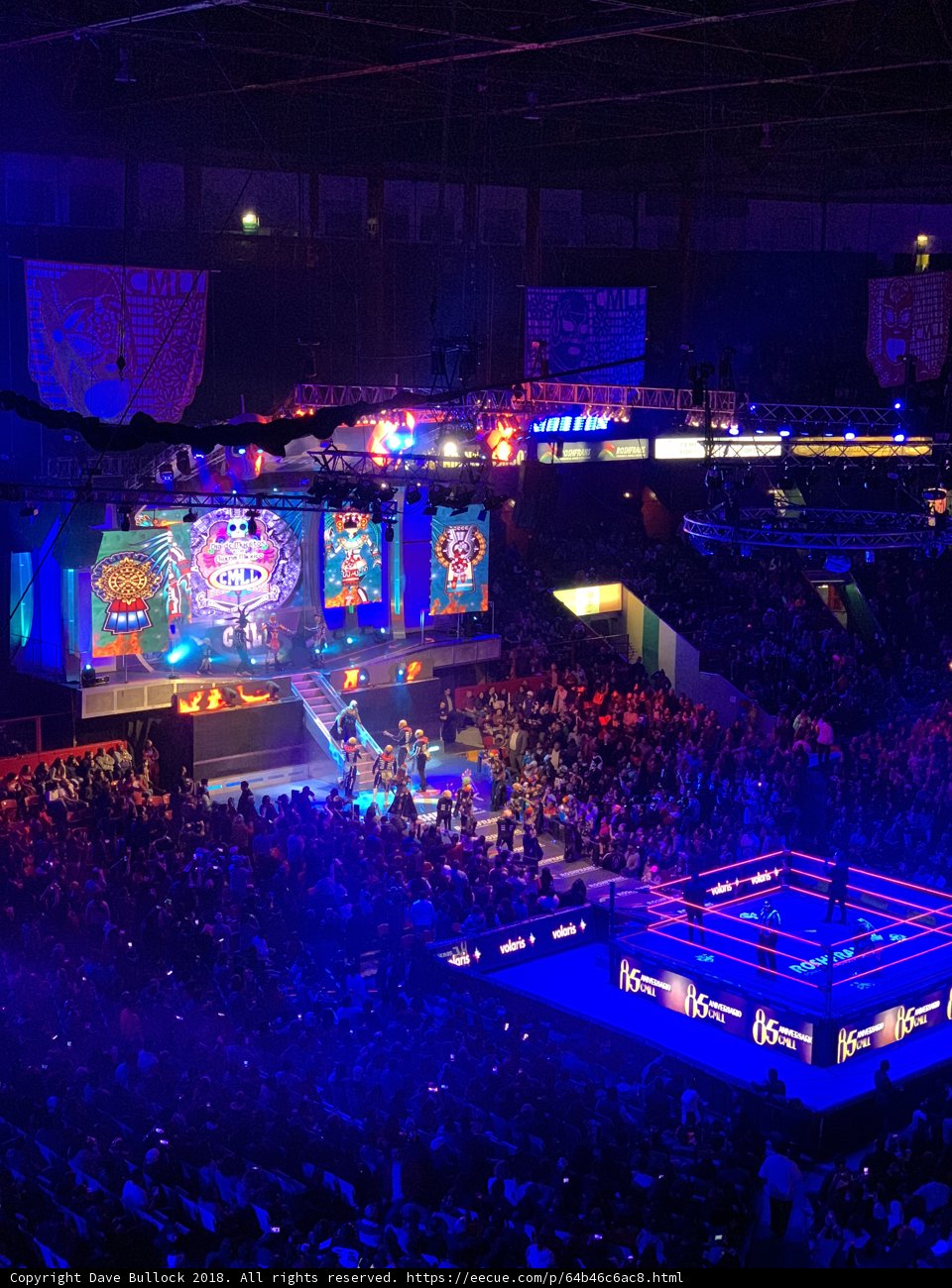 Battle in the Arena