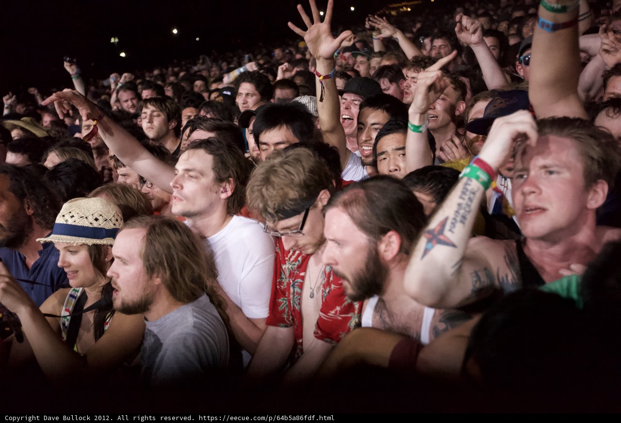Crowd in a Frenzy