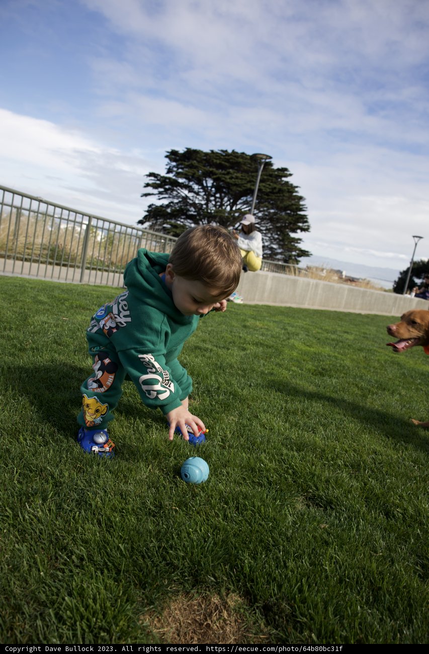 Vibrant Playtime at Francisco Park: Wesley's Ball Game