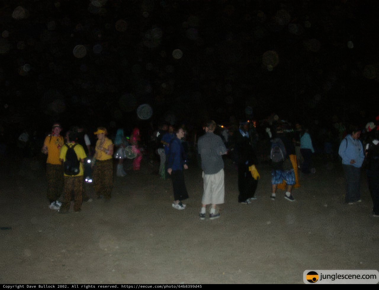 Beach Bonfire Brigade