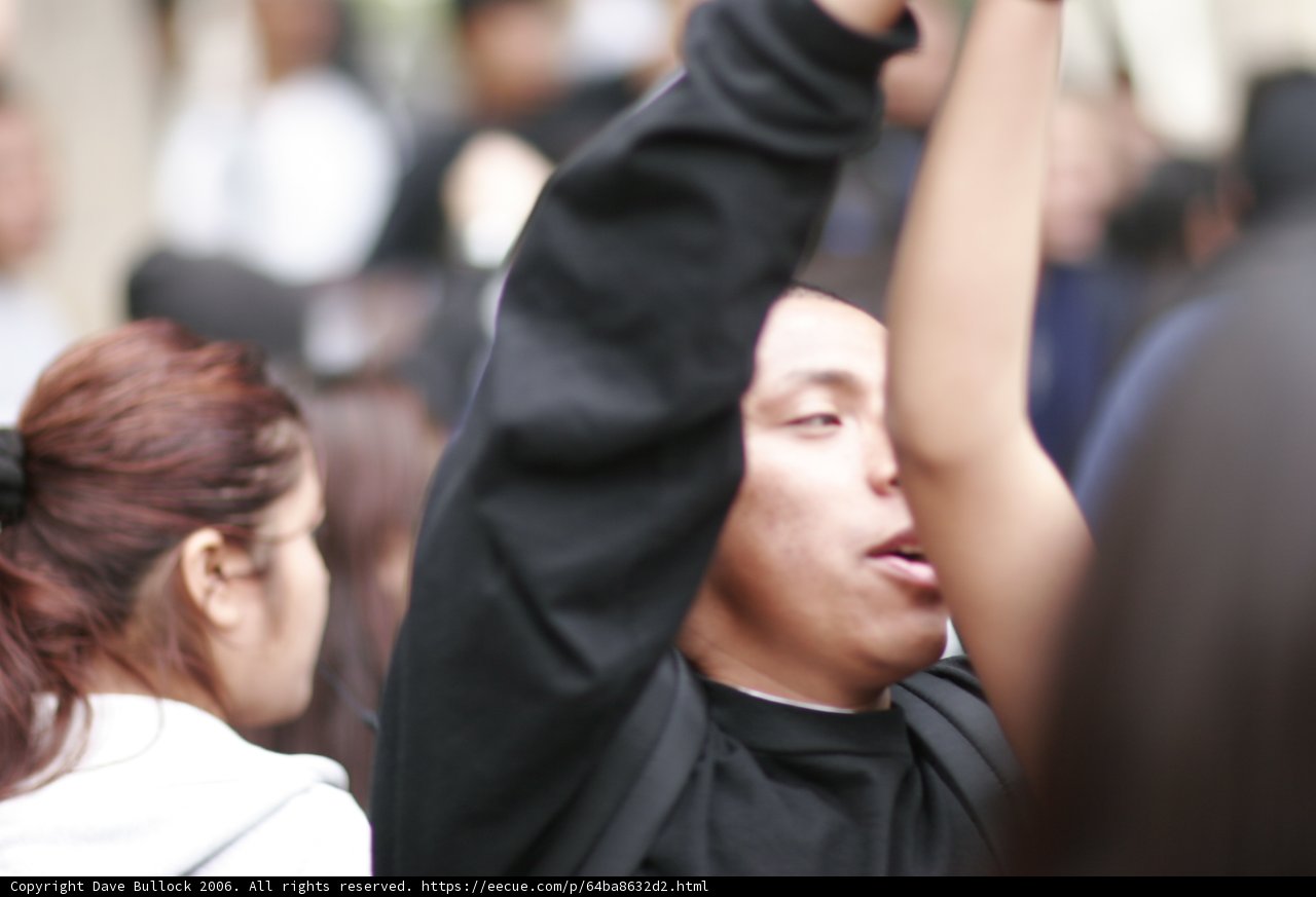 Protester Takes a Stand