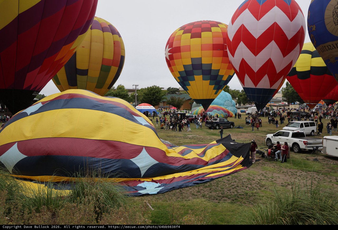 Colorful Hot Air Balloons Fill the Sky at Festival