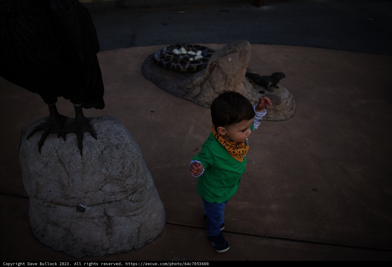 Encounter with the Feathered Guardian