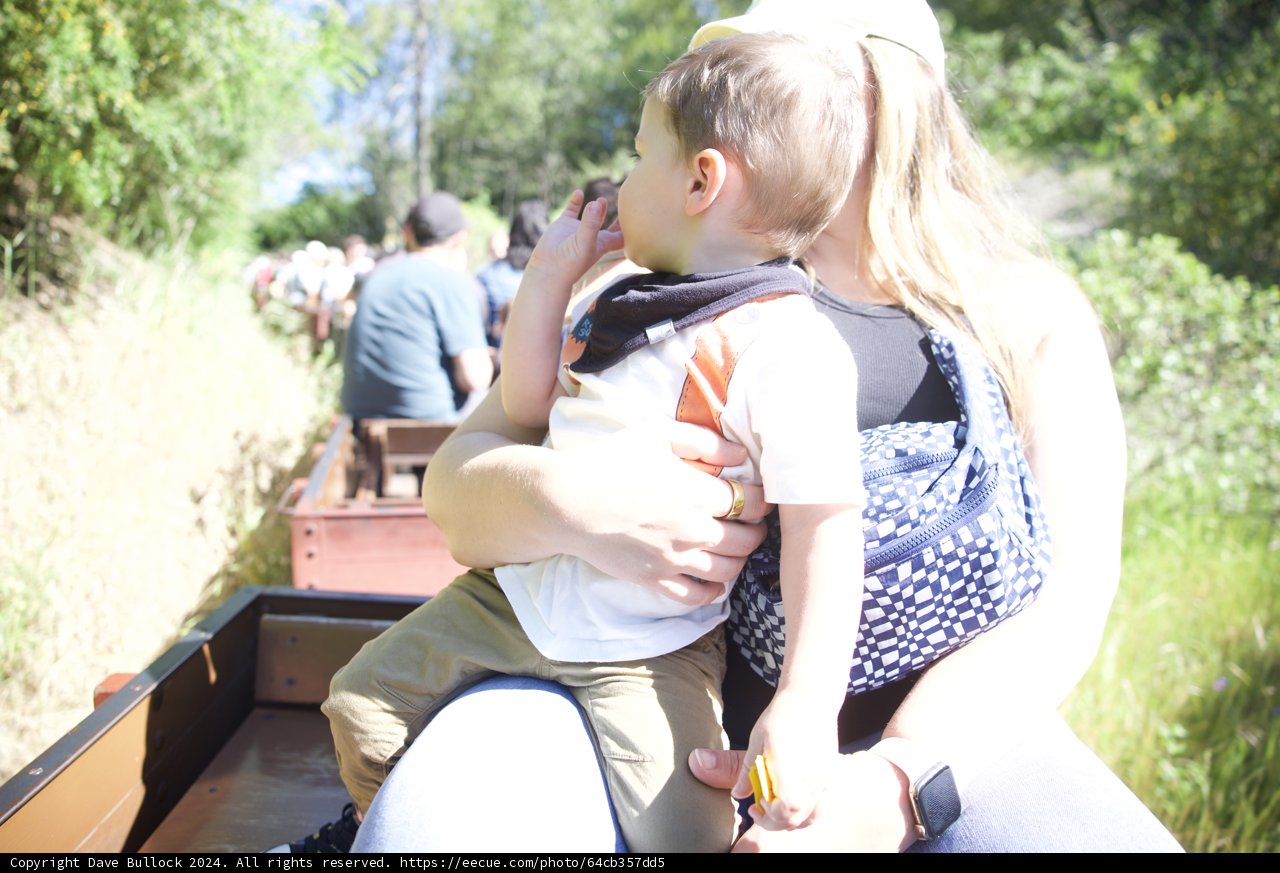 Sunny Train Ride Adventure