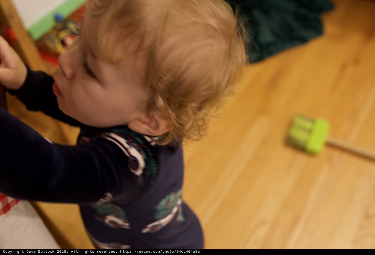 Young Child Playing on Wooden Floor at Home