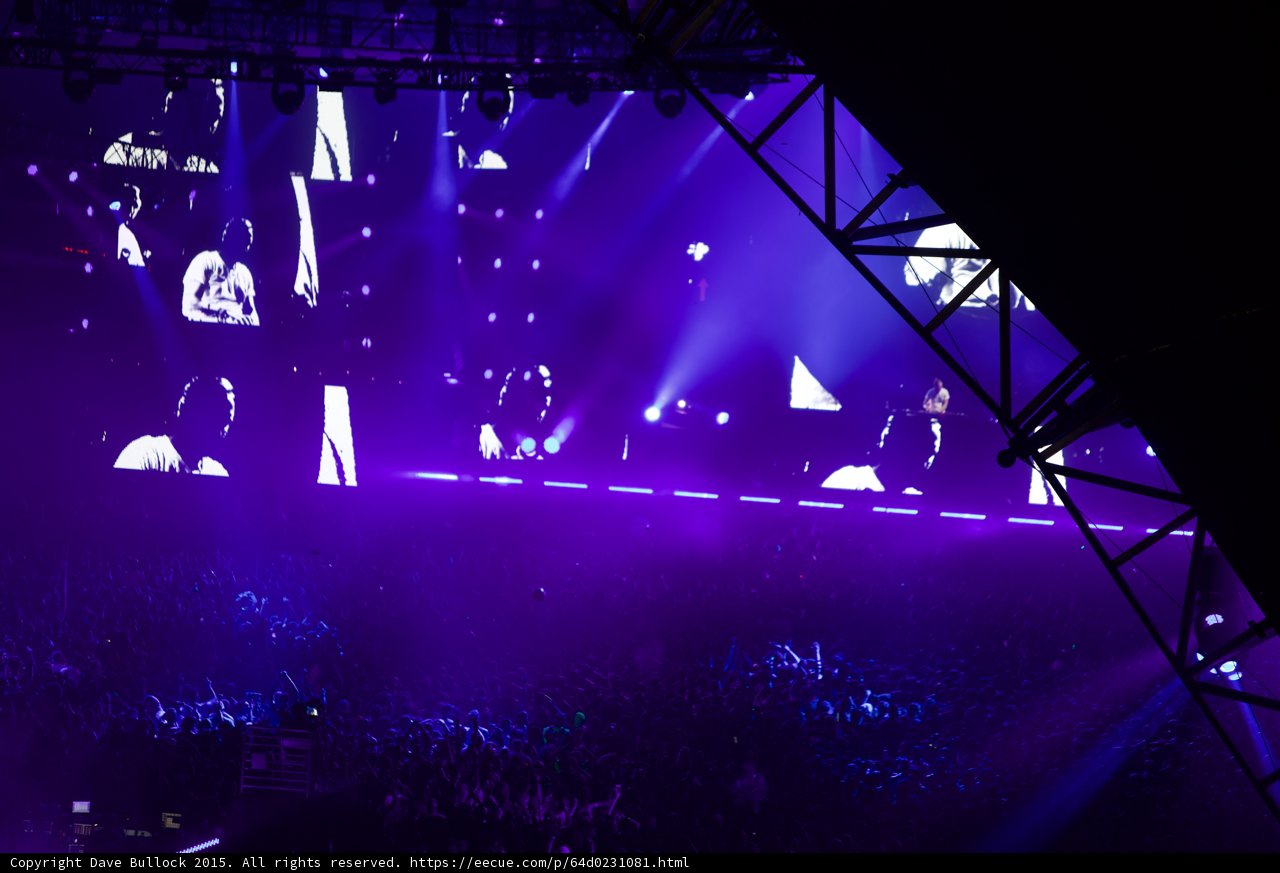 Purple Haze Concert