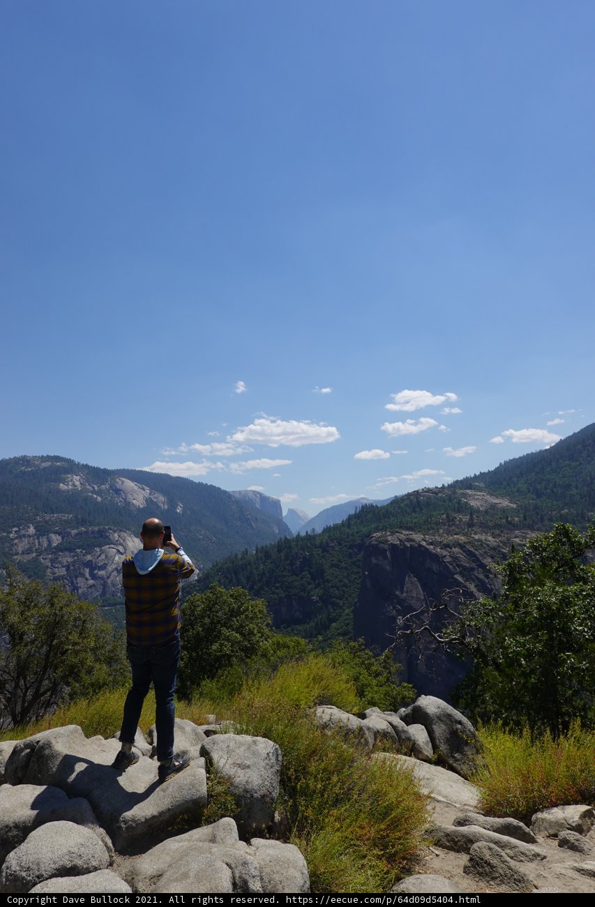 Capturing the Majestic Wilderness
