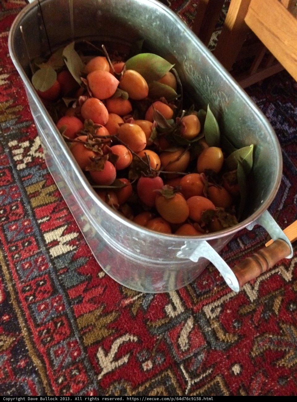 Abundant Harvest