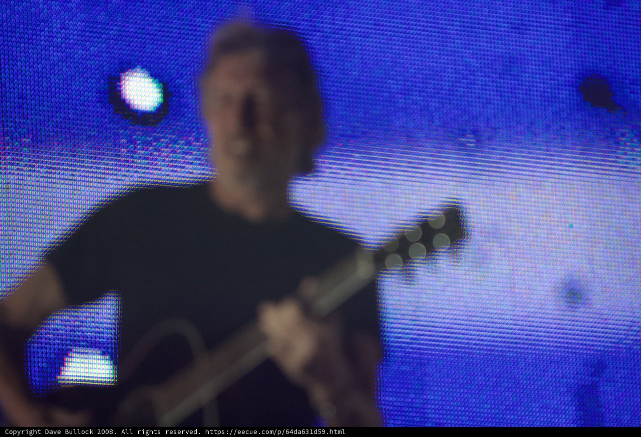 Spotlight on the Guitarist