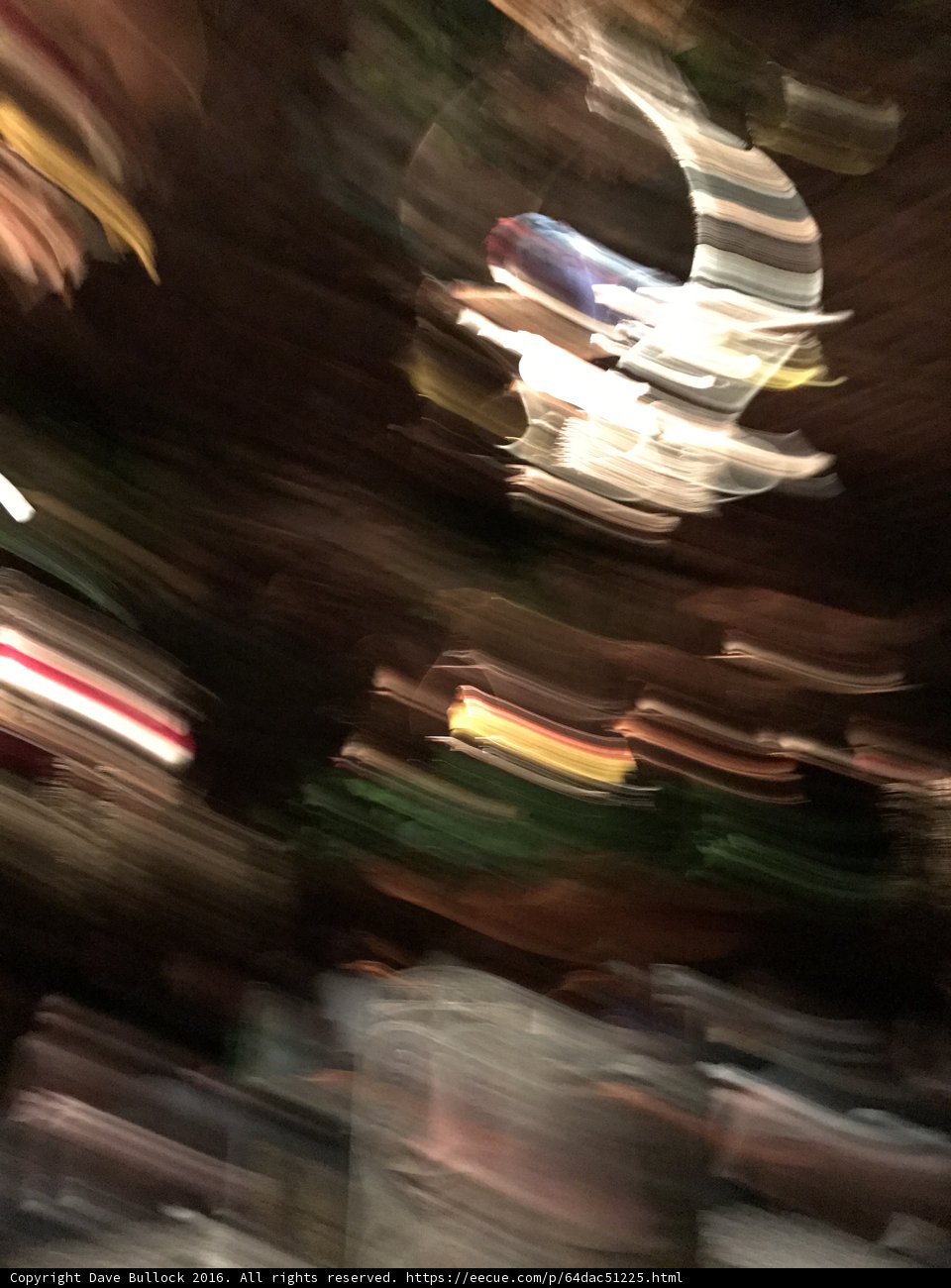Blurred Carousel Lights at Disneyland Park