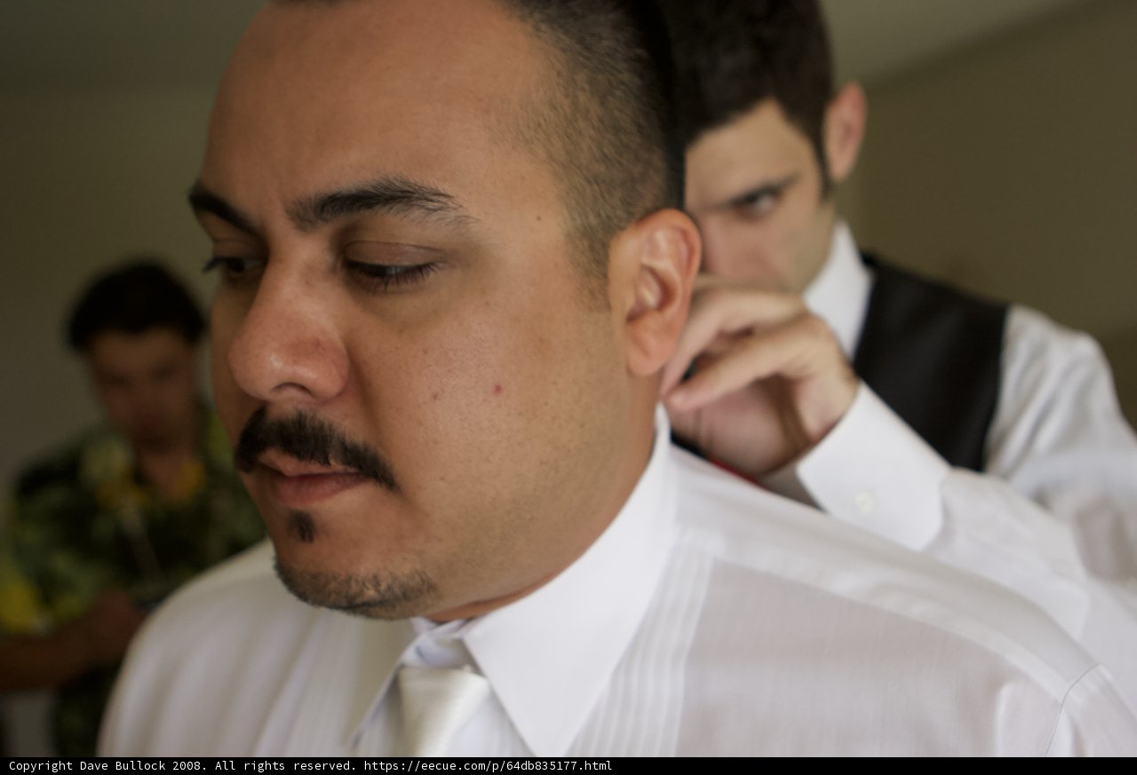 Tying the Knot in Hawaii