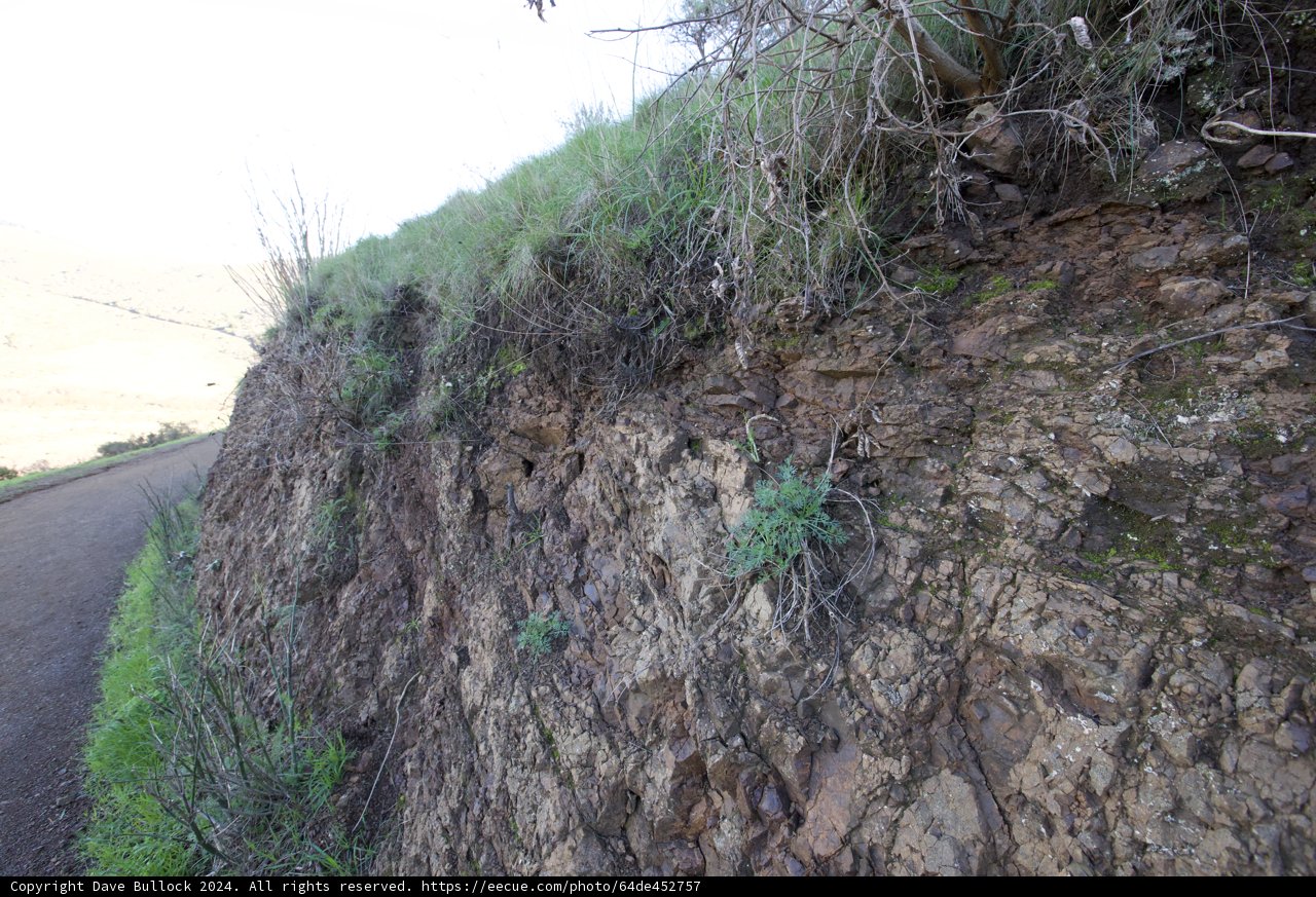 Journey by the Precipice: Marin Headlands Hill 88
