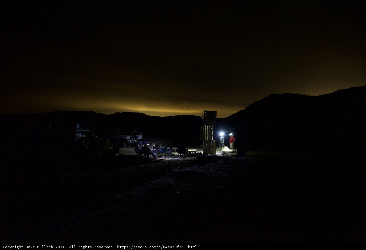 Nighttime Gathering by the Light